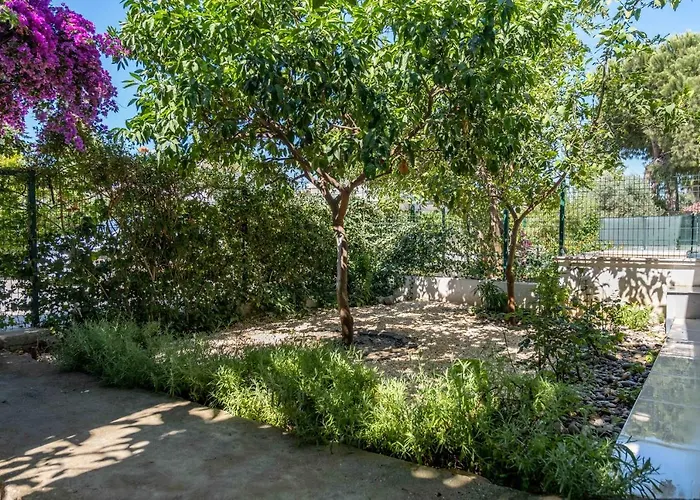 Belinda 빌라 베렉