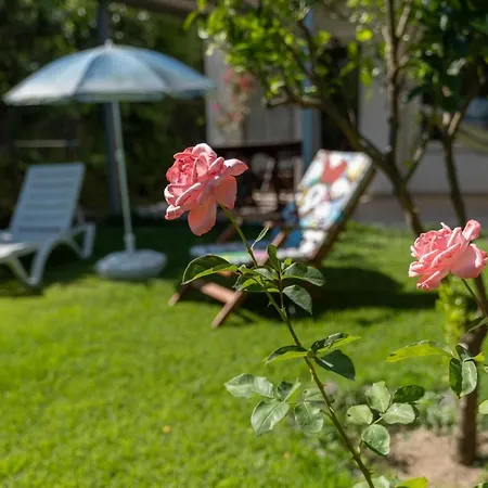 Villa Belinda *