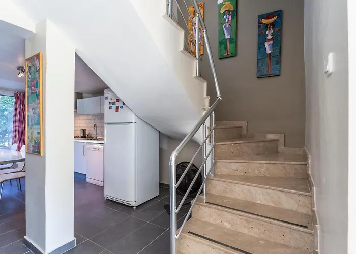 Belinda فيلة بيليك